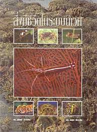 สิ่งมีชีวิตในระบบนิเวศ