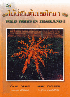 ไม่ป่ายืนต้นของไทย1